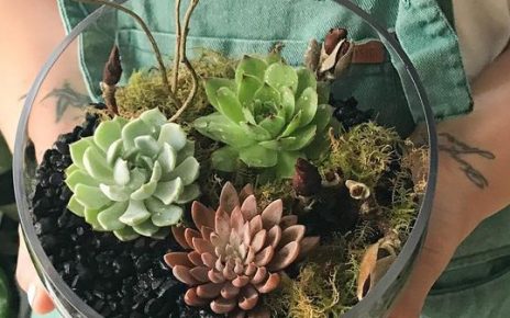 terrarium workshop