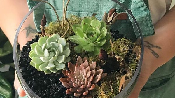 terrarium workshop