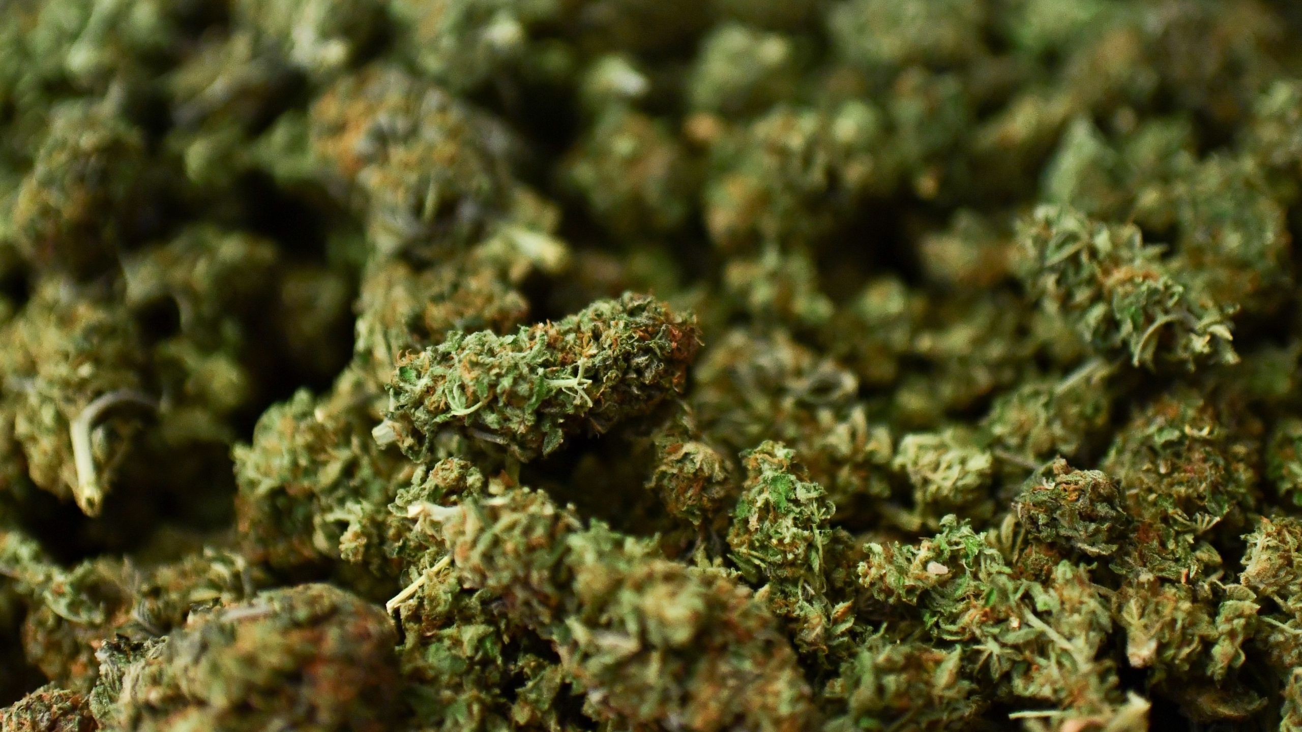 What does science think about the effects of Marijuana?