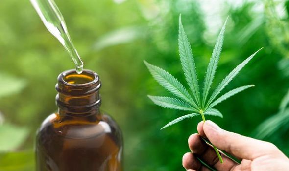 Essential things to consider while buying CBD products