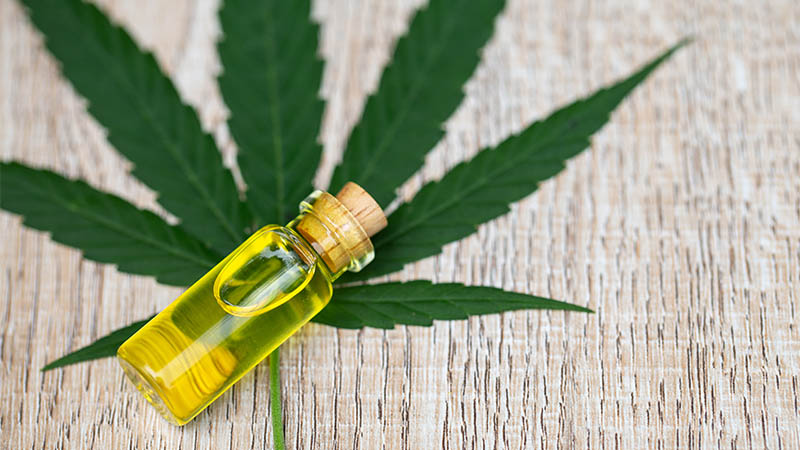 How to buy the best CBD oil online? – Tips