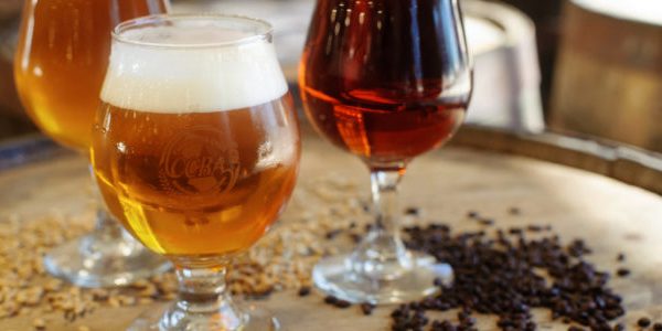 Drinking beer helps in preventing health issues