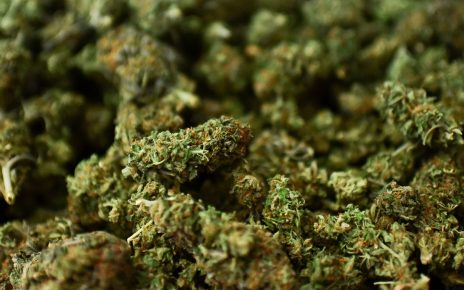 What does science think about the effects of Marijuana?