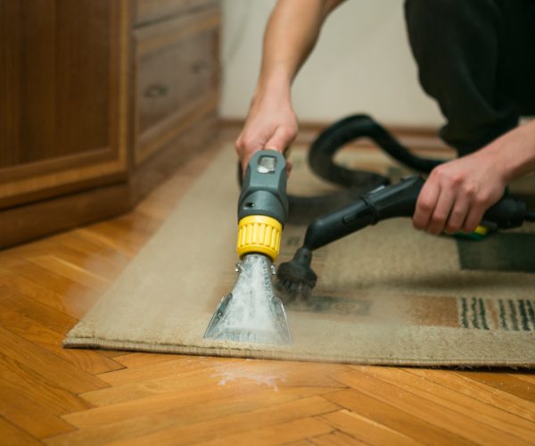 commercial carpet cleaning service in Fort Collins, CO